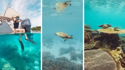Tsara Komba Madagascar Wid life Under Water Experience