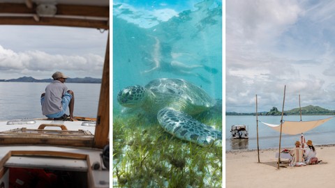 Boat cruise adventure and swimming with turtles at Tsara Komba Madagascar