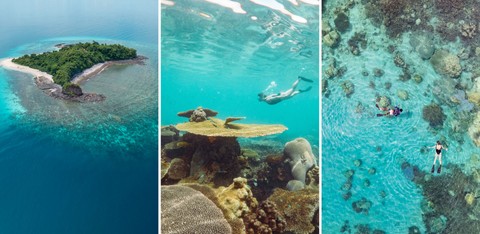 Snorkeling Tsara Komba
